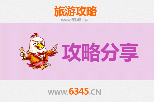 金华东阳旅游攻略：跟团与自由行深度对比